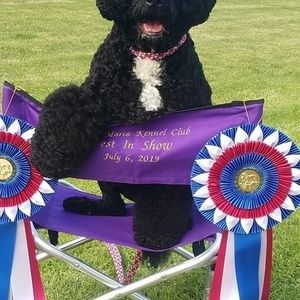 Meet your Posher, Laura